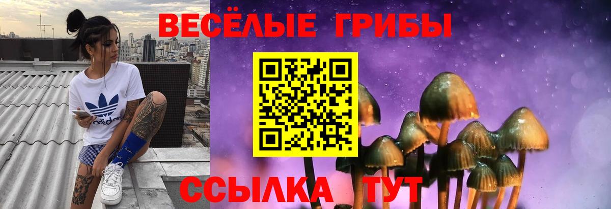Арсеньев  Галлюциногенные грибы мухоморы  Вход с VPN  Галлюциногенные грибы Psilocybe 